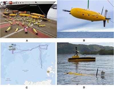 Oceanids C2: An Integrated Command, Control, and Data Infrastructure for the Over-the-Horizon Operation of Marine Autonomous Systems